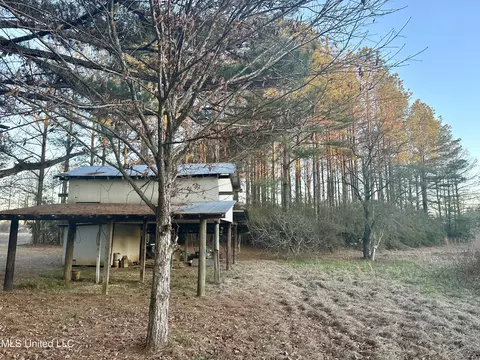 314 Alex Daley Rd, Carson, MS 39427 photo 7