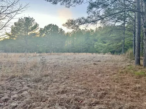 314 Alex Daley Rd, Carson, MS 39427 photo 5