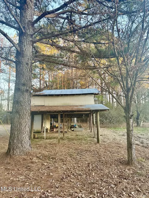 314 Alex Daley Rd, Carson, MS 39427 photo 6