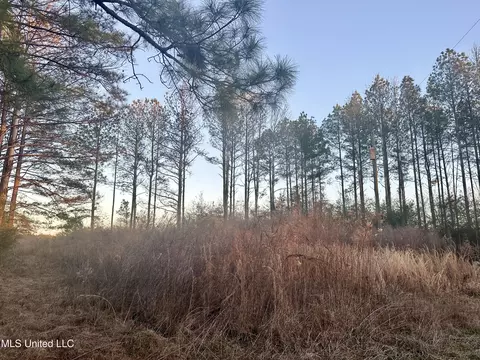 314 Alex Daley Rd, Carson, MS 39427 photo 3