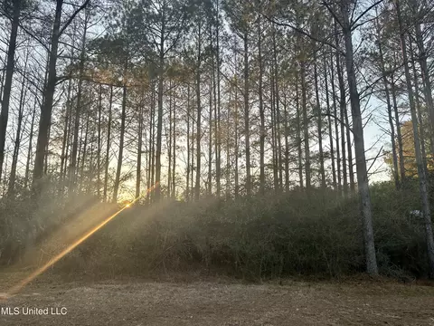314 Alex Daley Rd, Carson, MS 39427 photo 4