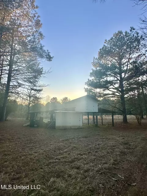 314 Alex Daley Rd, Carson, MS 39427 photo 8