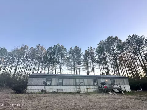 314 Alex Daley Rd, Carson, MS 39427 photo 9