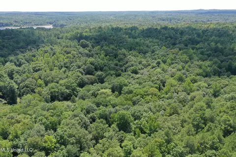 2997 Reaves Rd, Ashland, MS 38603