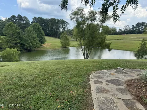 8735 S Highway 35, Forest, MS 39074 photo 5