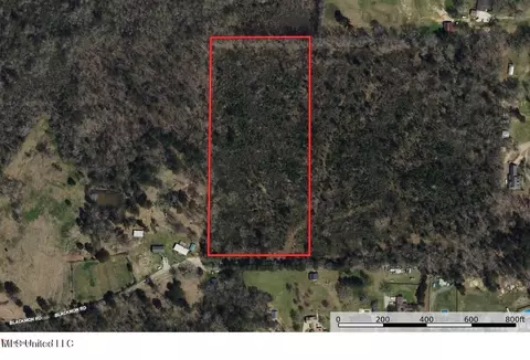 0 Dunn Rd, Terry, MS 39170 photo 8