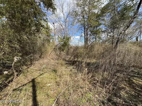 0 Dunn Rd, Terry, MS 39170