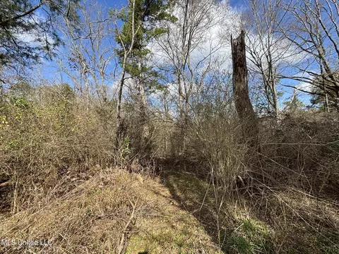 0 Dunn Rd, Terry, MS 39170 photo 2
