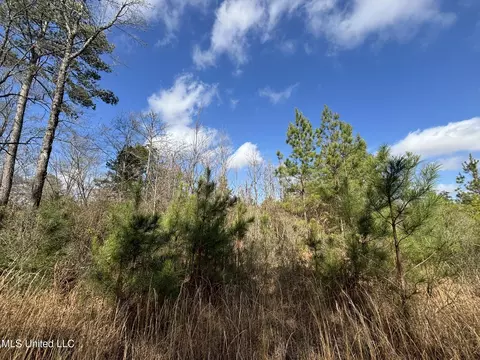0 Dunn Rd, Terry, MS 39170 photo 6