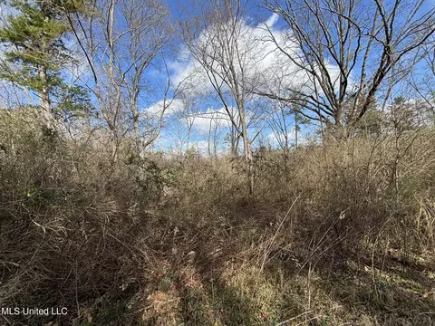 0 Dunn Rd, Terry, MS 39170 photo 3