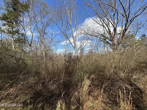 0 Dunn Rd, Terry, MS 39170 photo 4
