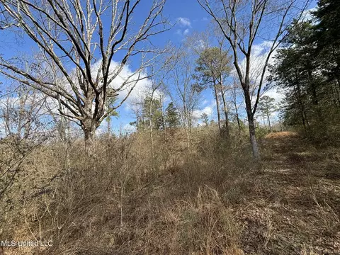 0 Dunn Rd, Terry, MS 39170 photo 5
