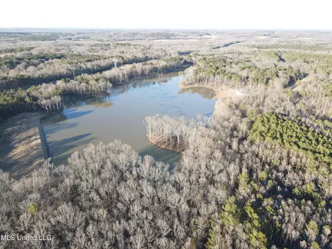 Springwood Trail, Flora, MS 39071