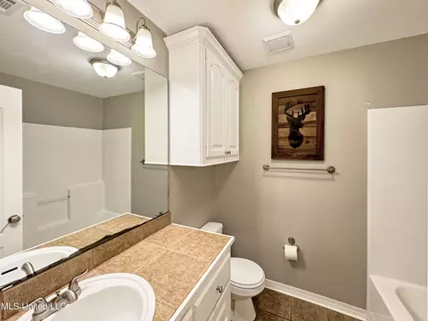 212 Pineleaf Cv, Brandon, MS 39047 photo 23