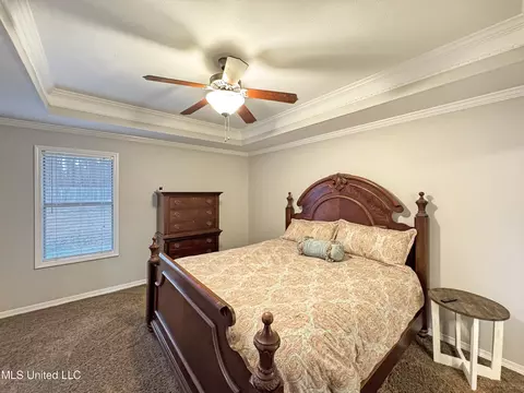 212 Pineleaf Cv, Brandon, MS 39047 photo 12