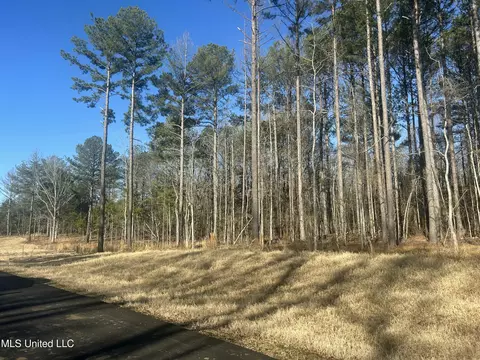 Springwood Trail, Flora, MS 39071 photo 7