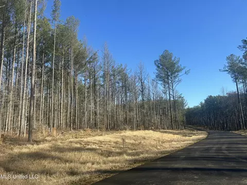 Springwood Trail, Flora, MS 39071 photo 4