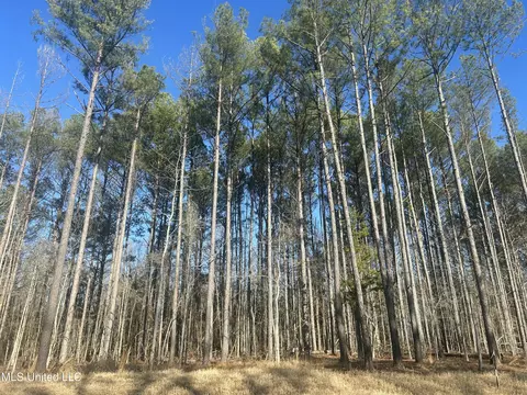 Springwood Trail, Flora, MS 39071 photo 3