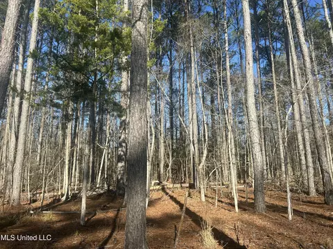 Springwood Trail, Flora, MS 39071 photo 5