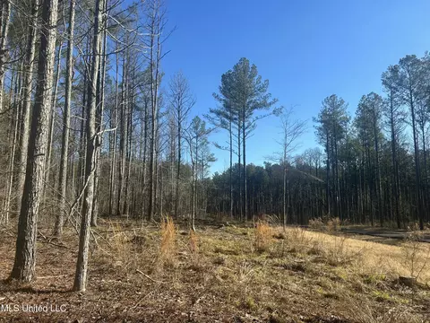 Springwood Trail, Flora, MS 39071 photo 6