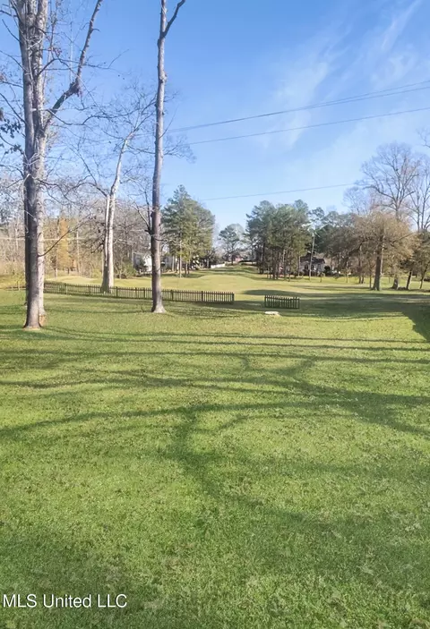 548 Arbor Dr, Madison, MS 39110 photo 4