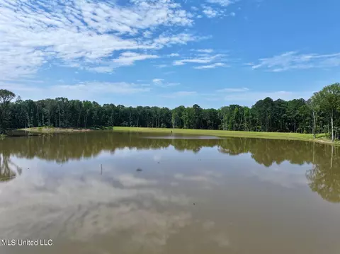 Springwood Trail, Flora, MS 39071