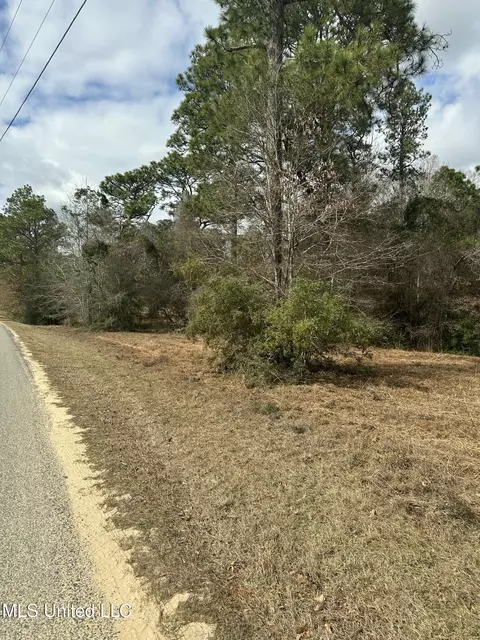 0 Bisbee Dr, Lumberton, MS 39455