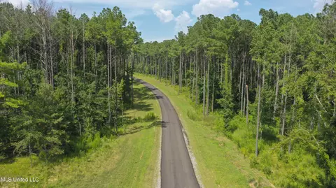 Springwood Trail, Flora, MS 39071 photo 22