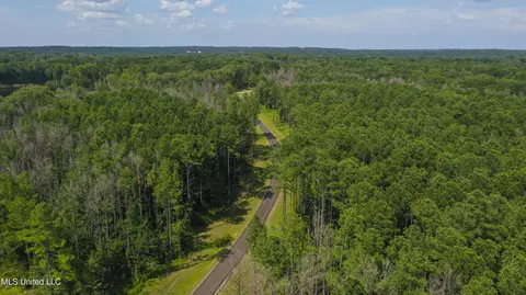 Springwood Trail, Flora, MS 39071 photo 26