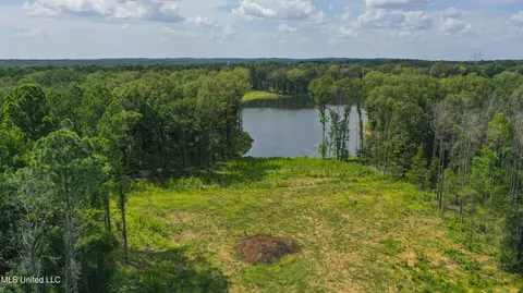 Springwood Trail, Flora, MS 39071 photo 27