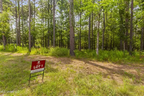 Springwood Trail, Flora, MS 39071 photo 15