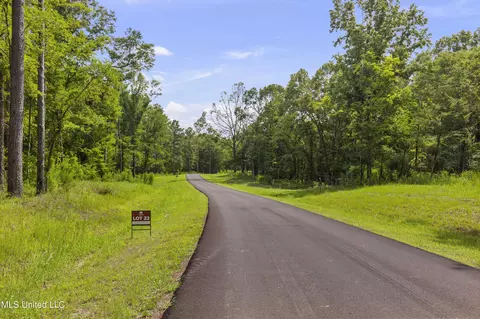 Springwood Trail, Flora, MS 39071 photo 16