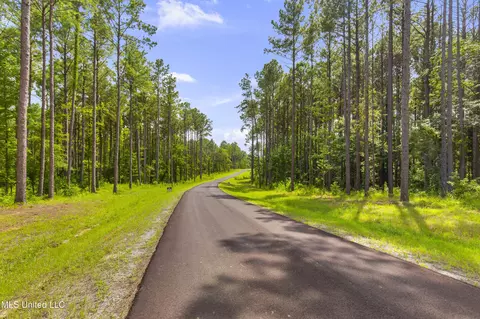 Springwood Trail, Flora, MS 39071 photo 17