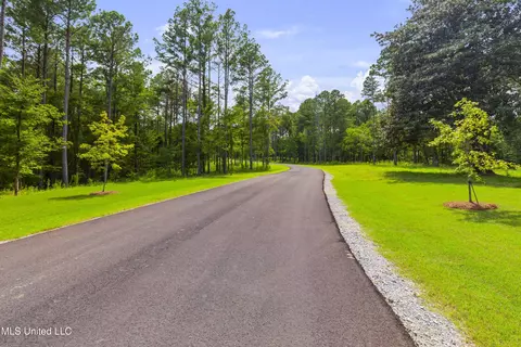 Springwood Trail, Flora, MS 39071 photo 9
