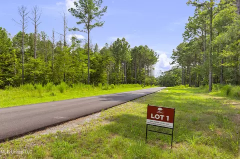 Springwood Trail, Flora, MS 39071 photo 14
