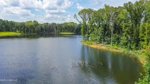Springwood Trail, Flora, MS 39071 photo 30
