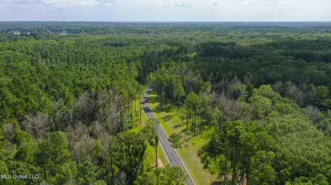 Springwood Trail, Flora, MS 39071 photo 39