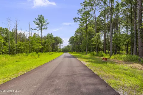 Springwood Trail, Flora, MS 39071 photo 13