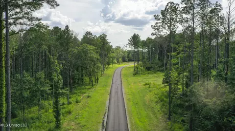 Springwood Trail, Flora, MS 39071 photo 41