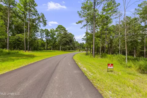Springwood Trail, Flora, MS 39071 photo 11
