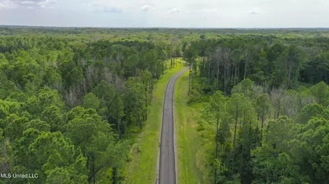 Springwood Trail, Flora, MS 39071 photo 40