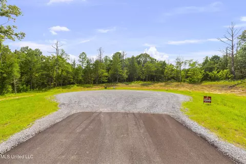Springwood Trail, Flora, MS 39071 photo 20
