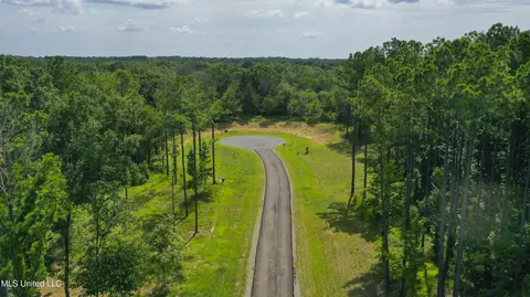 Springwood Trail, Flora, MS 39071 photo 18