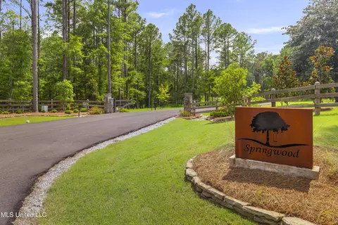 Springwood Trail, Flora, MS 39071 photo 3