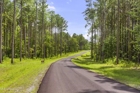 Springwood Trail, Flora, MS 39071 photo 13