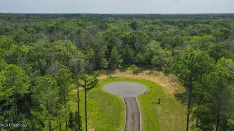 Springwood Trail, Flora, MS 39071 photo 19