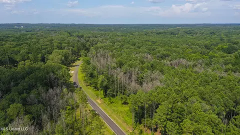 Springwood Trail, Flora, MS 39071 photo 29