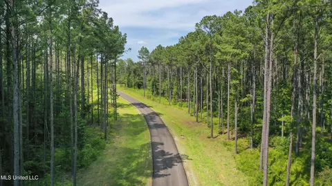 Springwood Trail, Flora, MS 39071 photo 36