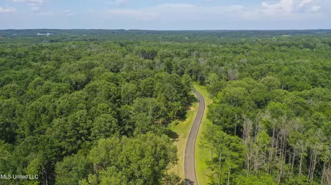 Springwood Trail, Flora, MS 39071 photo 31