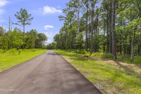 Springwood Trail, Flora, MS 39071 photo 11